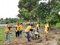 Tây Ninh: Triển khai các giải pháp kiểm soát ô nhiễm môi trường nông nghiệp, nông thôn