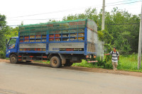 Ngăn chặn, phát hiện và xử lý nghiêm các trường hợp buôn bán, vận chuyển trái phép gia cầm, sản phẩm gia cầm qua biên giới vào Việt Nam