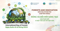 Bộ Nông nghiệp và Phát triển nông thôn hưởng ứng Ngày Quốc tế về Rừng năm 2024