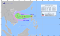 Dự báo diễn biến áp thấp nhiệt đới (trong 24 đến 48 giờ tới)