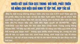 Nhiều kết quả tích cực trong đổi mới, phát triển và nâng cao hiệu quả kinh tế tập thể, hợp tác xã