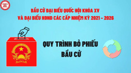 Quy trình bỏ phiếu bầu cử